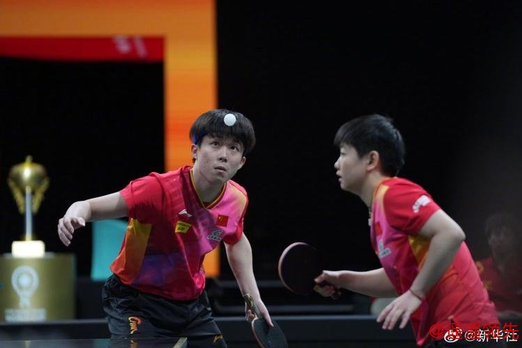 混团世界杯国乒8-0法国夺8连胜 莎头连续3战获胜