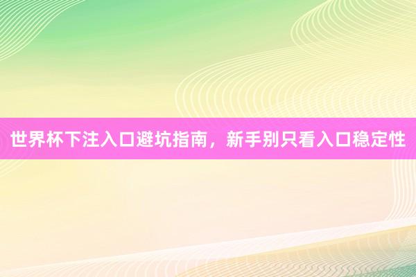 世界杯下注入口避坑指南，新手别只看入口稳定性