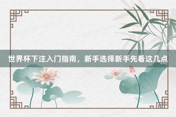 世界杯下注入门指南，新手选择新手先看这几点