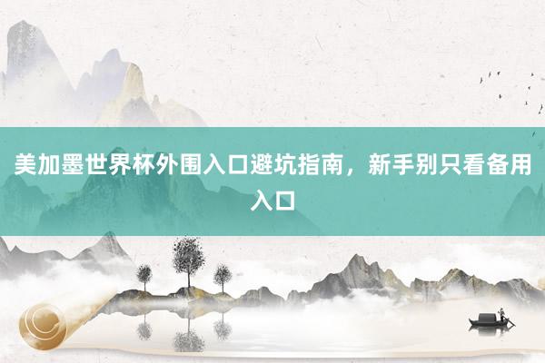 美加墨世界杯外围入口避坑指南，新手别只看备用入口