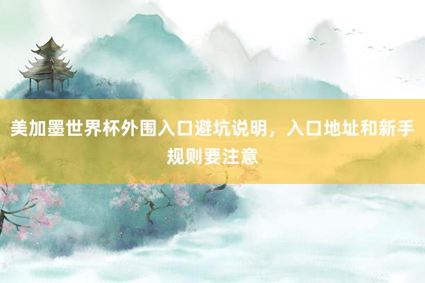 美加墨世界杯外围入口避坑说明，入口地址和新手规则要注意